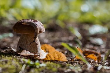 Similar image 21560741