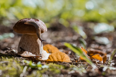 Similar image 21560742