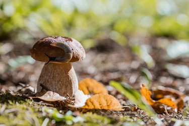 Similar image 21560743