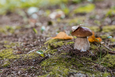 Similar image 21560746