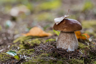 Similar image 21560748