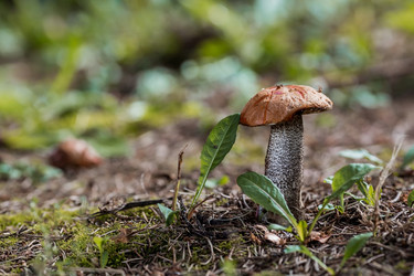 Similar image 21560749