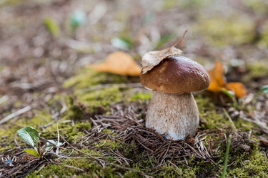 Similar image 21560751