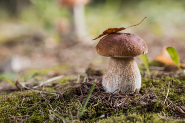 Similar image 21560753