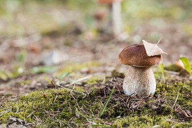 Similar image 21560758