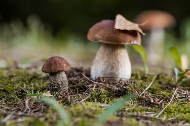 Similar image 21560760