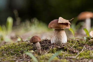 Similar image 21560762