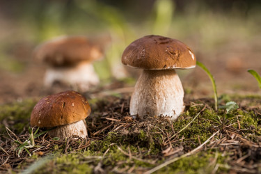 Similar image 21560766