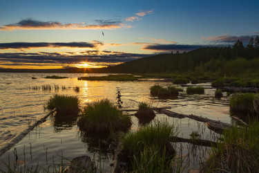 Similar image 21560086