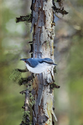 Similar image 21560087