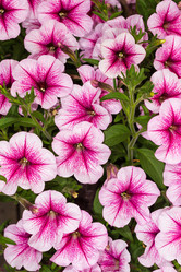 Similar image 21560088