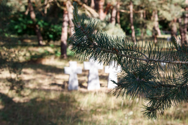 Similar image 21560105