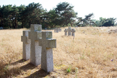 Similar image 21560106