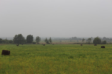 Similar image 21560120