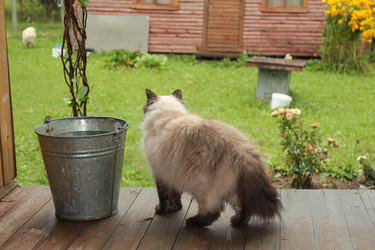 Similar image 21560121