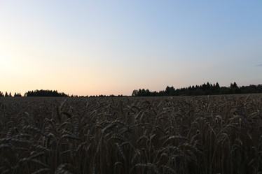 Similar image 21560122