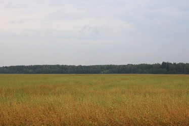 Similar image 21560123