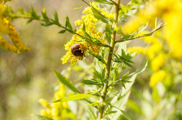 Similar image 21560128