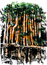 Similar image 21561908