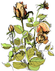 Similar image 21561910