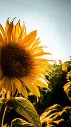 Similar image 21563194