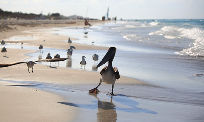 Similar image 21560814