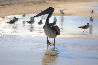 Similar image 21560815