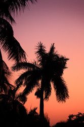 Similar image 21611876