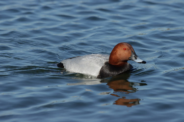 Similar image 21560816