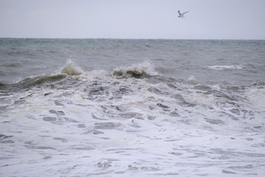 Similar image 21560137