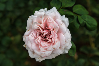 Similar image 21609073