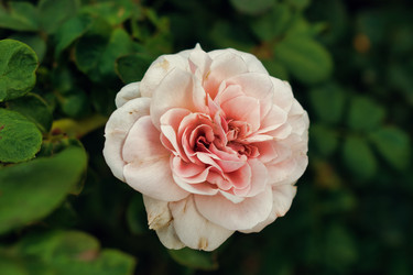 Similar image 21609074