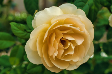 Similar image 21563195