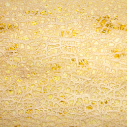 Similar image 21560826