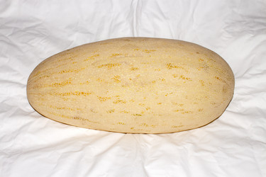 Similar image 21560827