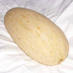 Similar image 21560829