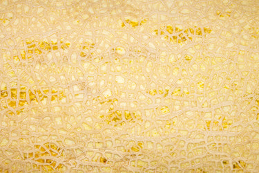 Similar image 21560830