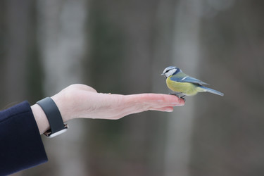 Similar image 21560831