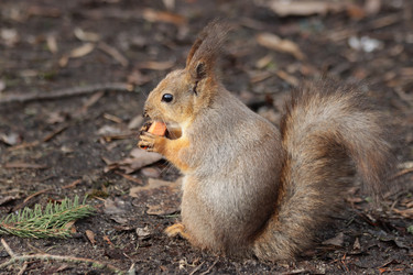 Similar image 21560833