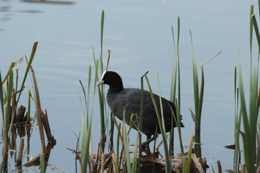 Similar image 21560834