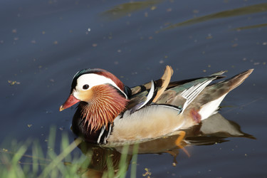 Similar image 21608575