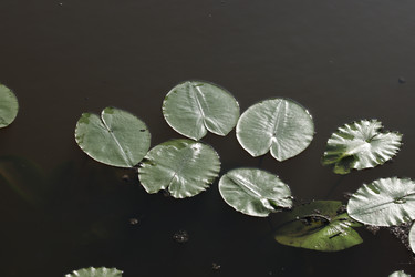 Similar image 21608576