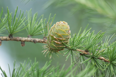 Similar image 21560837