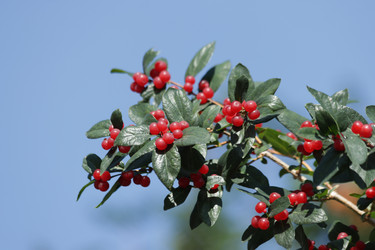 Similar image 21608578