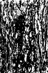 Similar image 21561194