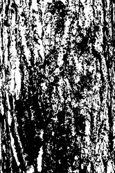 Similar image 21561195