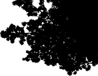 Similar image 21561196