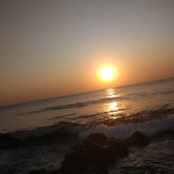 Similar image 21560839