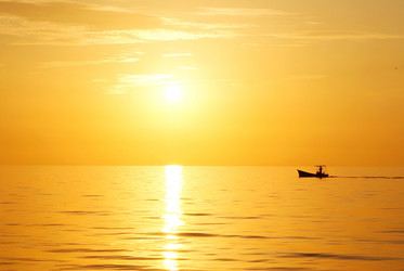 Similar image 21560840