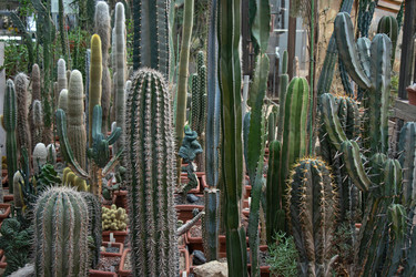 Similar image 21560843